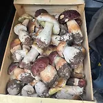 8pers Au Calme Avec Superbe Vue Barbecue Wifi * La Panouse (Lozere)