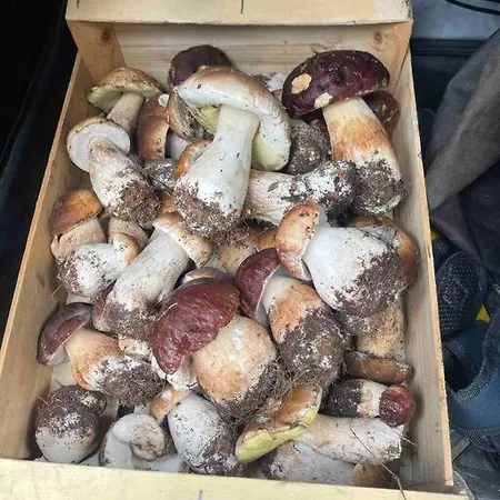 8pers Au Calme Avec Superbe Vue Barbecue Wifi * La Panouse (Lozere)